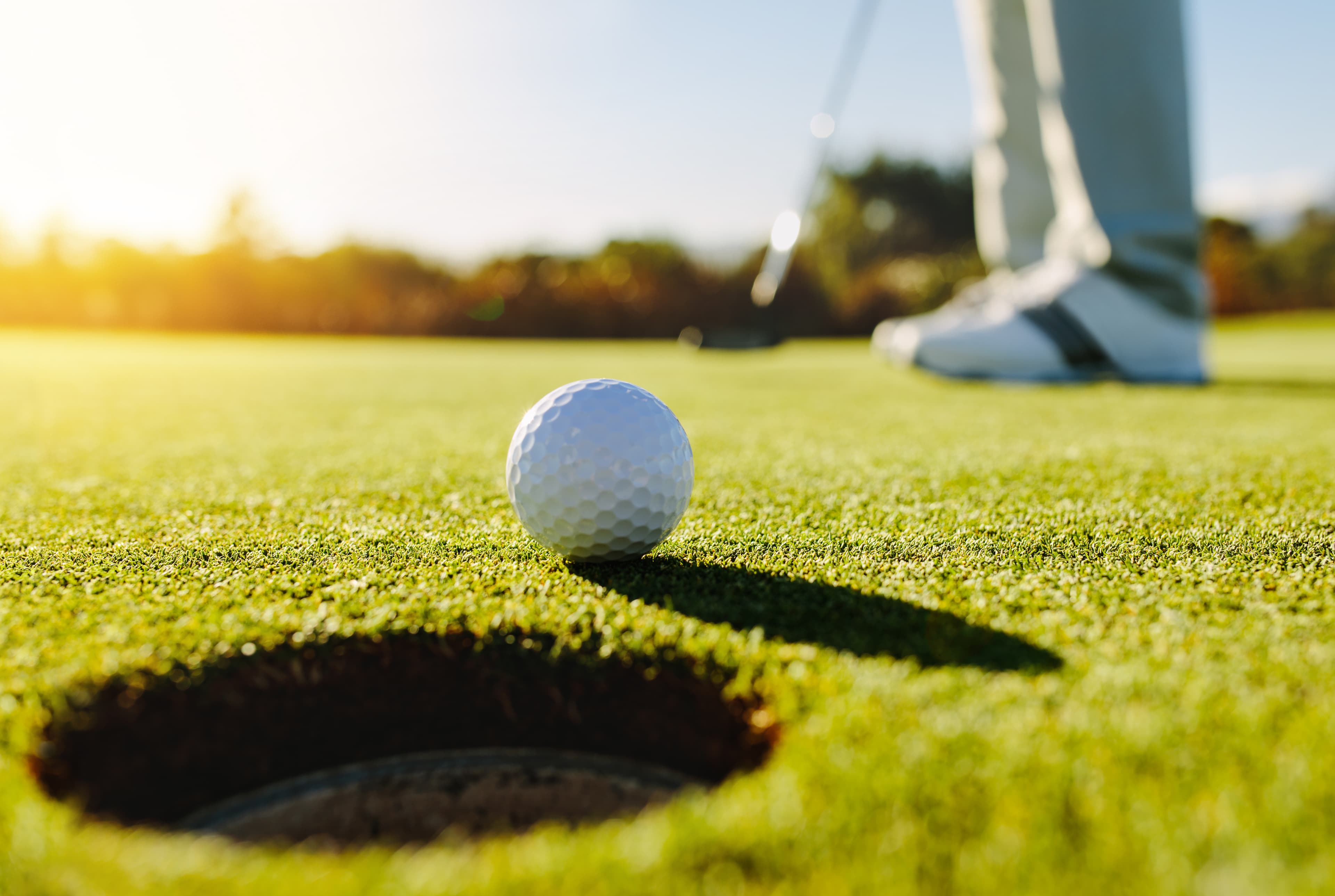 Golf Clubs in Bag