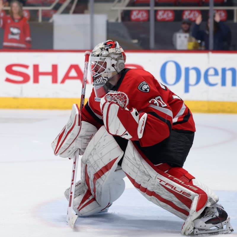 Charlotte Checkers in Action