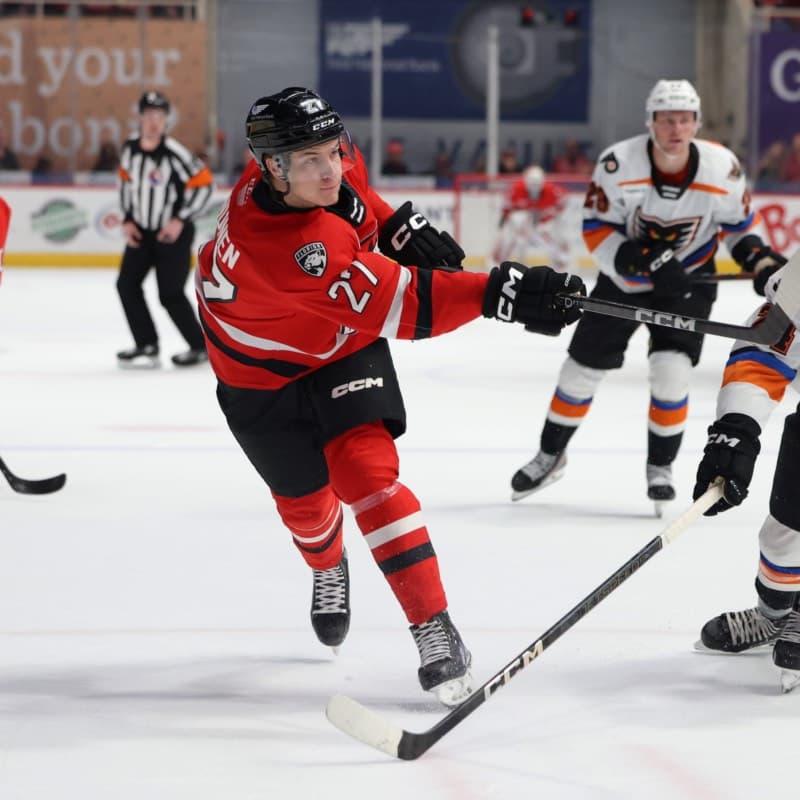 Charlotte Checkers in Action