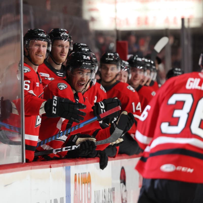 Charlotte Checkers in Action
