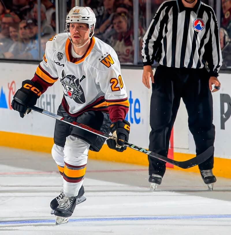 Chicago Wolves Game