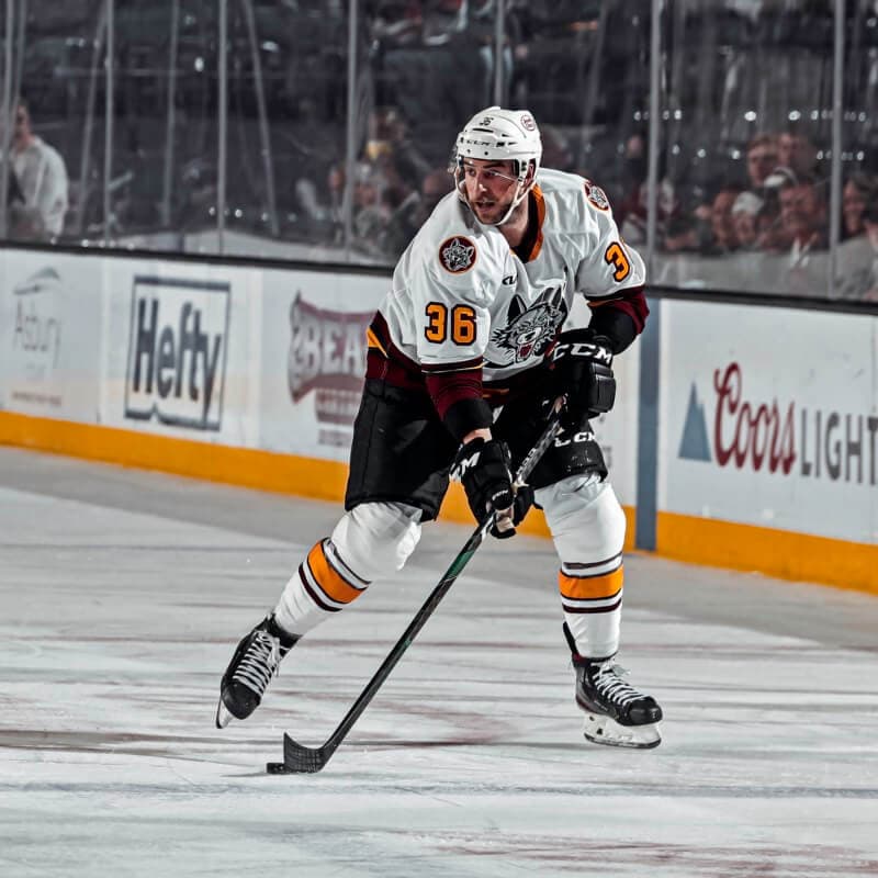 Chicago Wolves Game