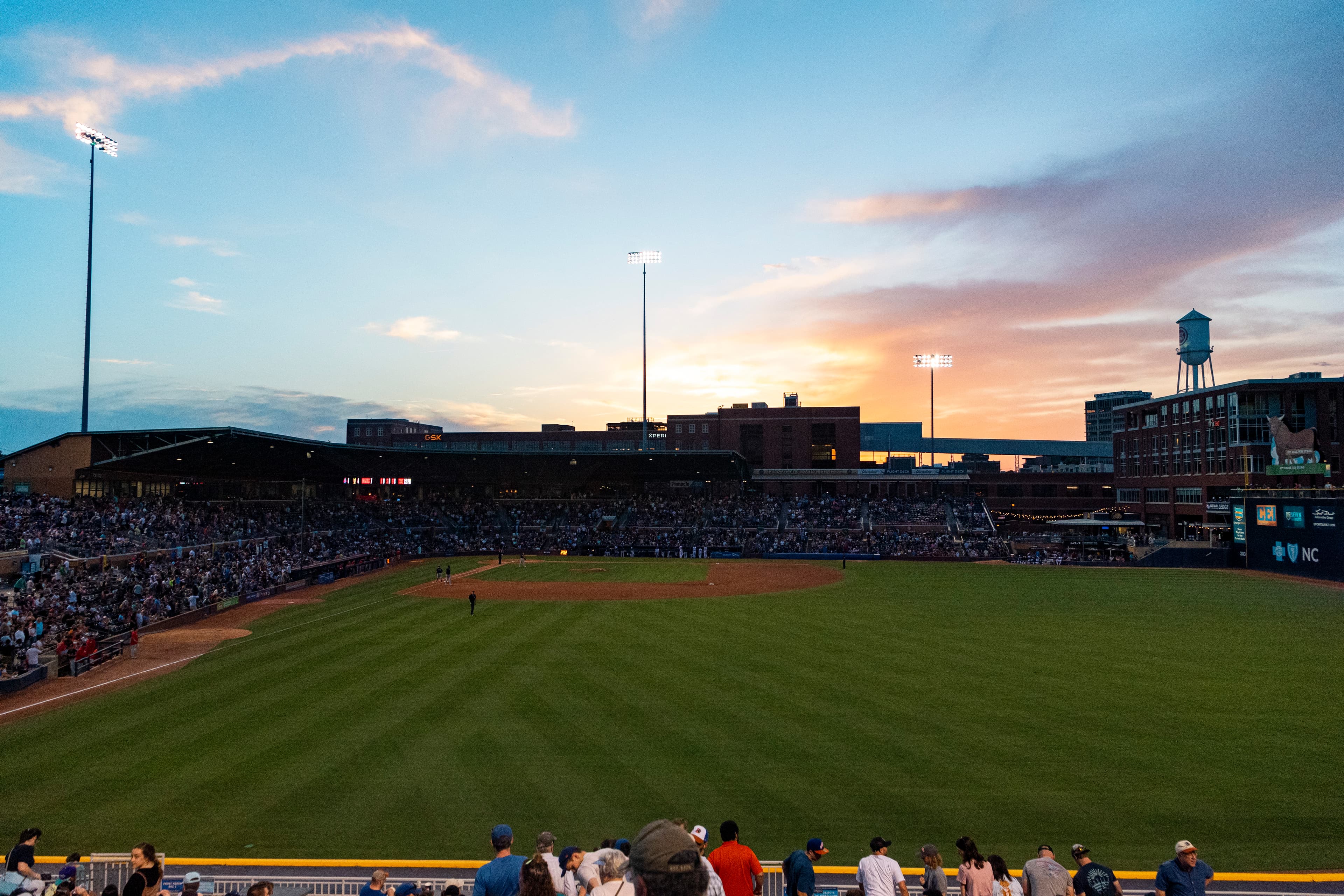 Durham Bulls in Action
