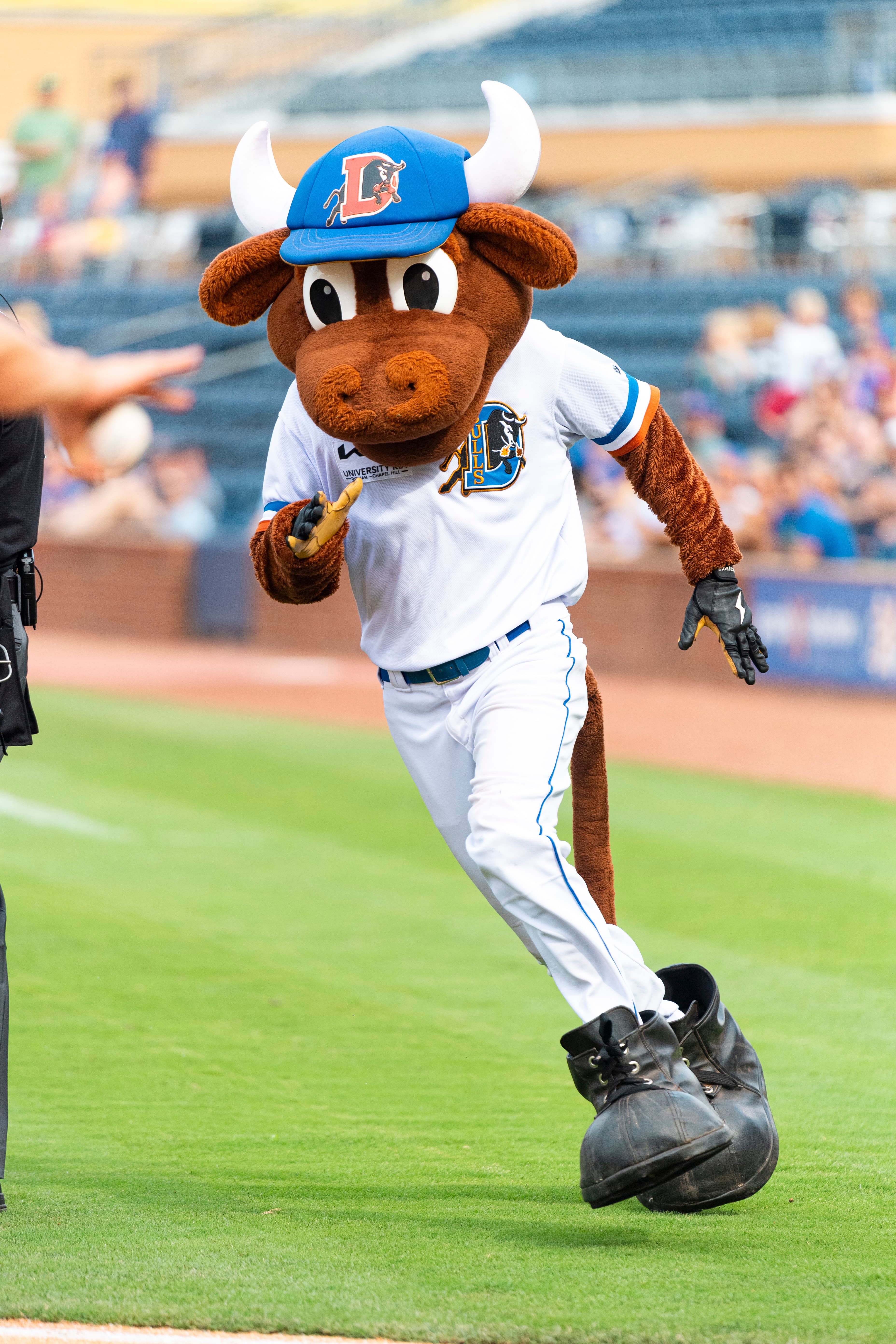 Durham Bulls in Action
