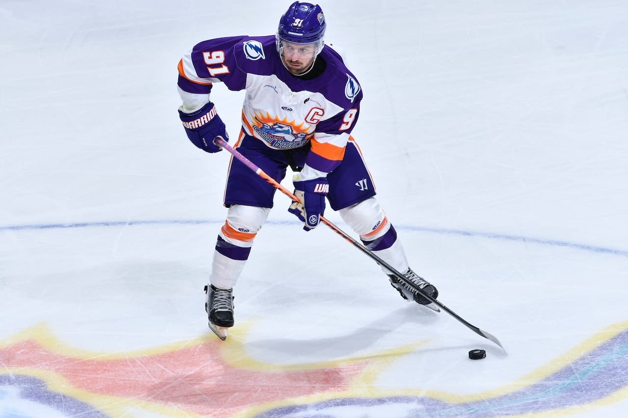 Solar Bears in Action