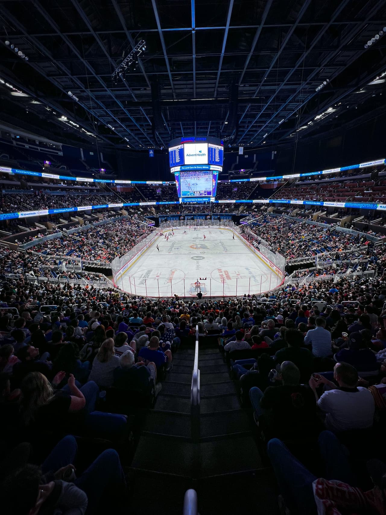 Solar Bears in Action