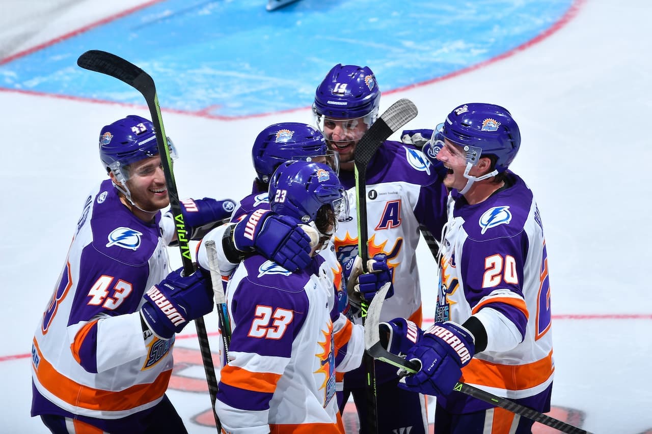 Solar Bears in Action