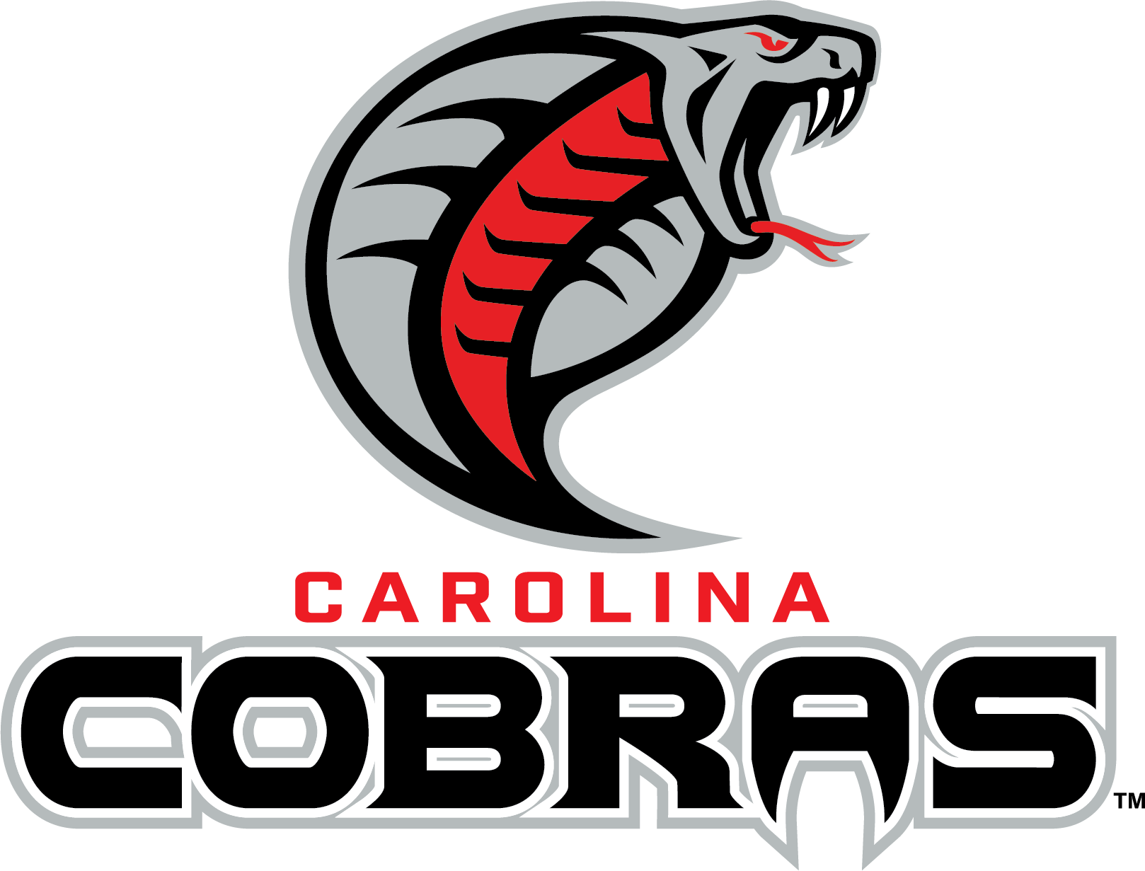 Event logo