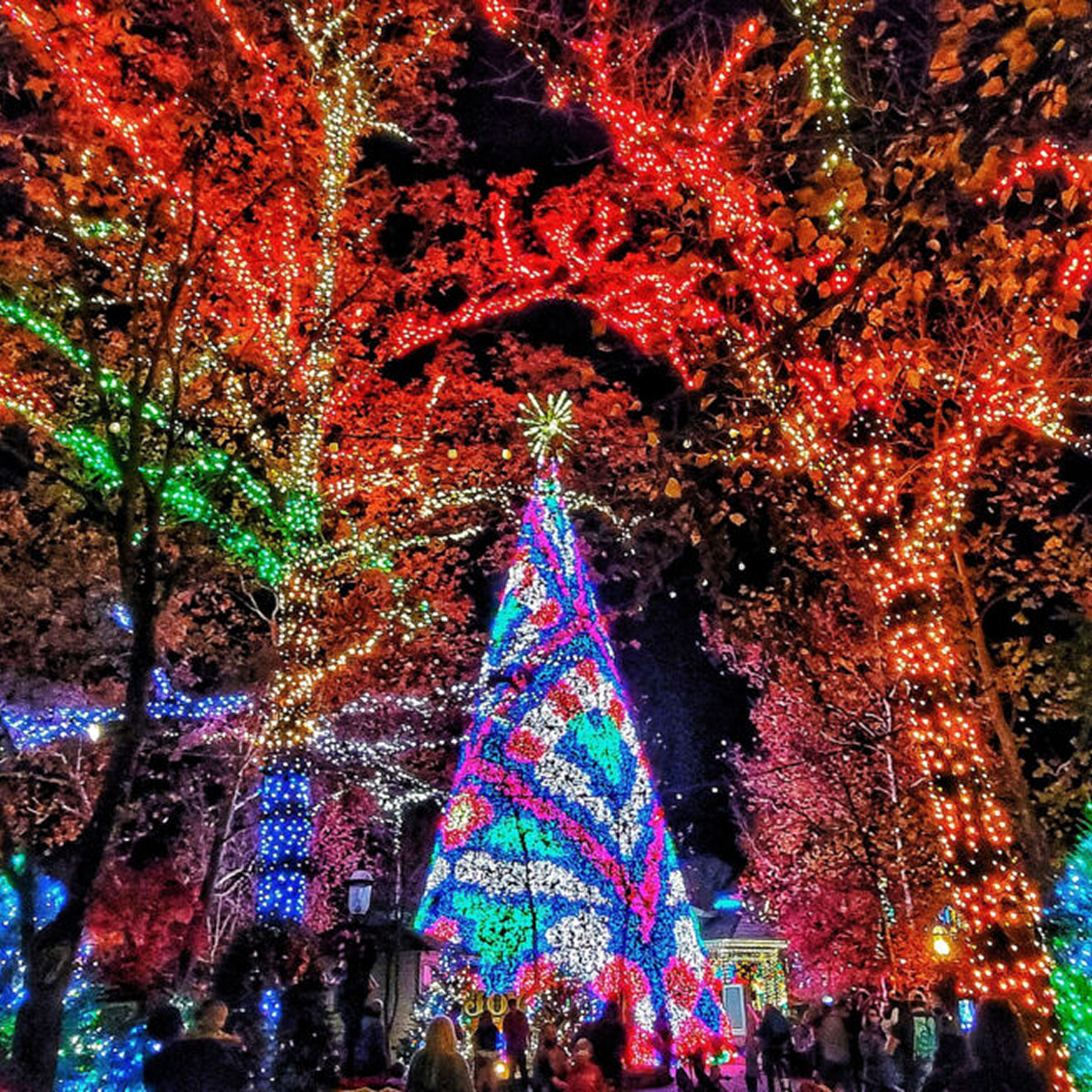 Branson Christmas